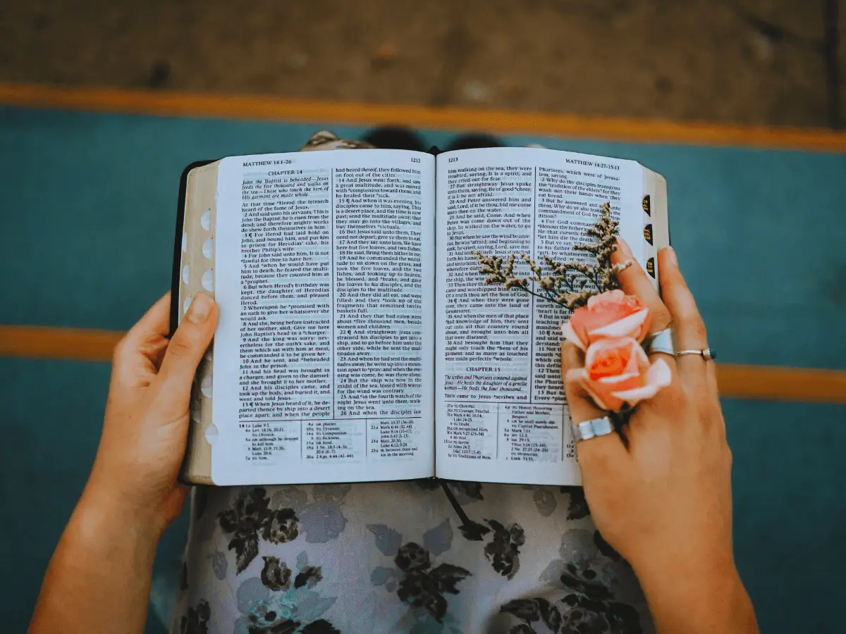 How to Read the Bible for Beginners and Grow in Faith