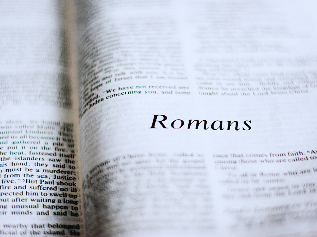 Romans 8:28 Devotional